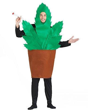Banyant Toys, S.L. Disfraz DE Maceta con Planta Maria