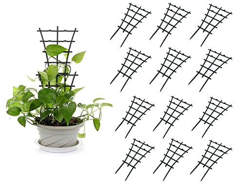 PinnacleT1 Lot de 6 Treillis de Jardin pour Mini Plantes grimpantes, Support Extensible en Pot pour vignes, légumes, Fleurs de Vigne, Treillis d'escalade, Plantes grimpantes