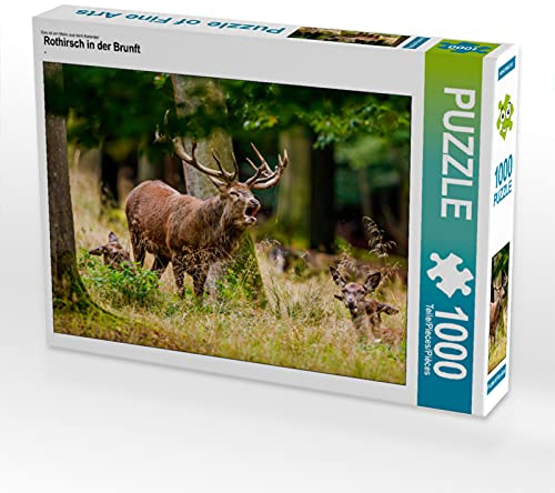 CALVENDO Puzzle Rothirsch in der Brunft | 1000 Teile Lege-Größe 64 x 48 cm Foto-Puzzle für glückliche Stunden