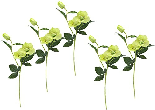 Flair Flower Helleborus Christrosenzweig 5er Kunstblume Seidenblumen Floristik Einzelblume Stielblume Einzelzweig einzelner Stiel Kunst-Stielblume Dekoblume Blumen Blumendeko,021114GN,Grün,57x12x5cm