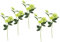 Flair Flower Helleborus Christrosenzweig 5er Kunstblume Seidenblumen Floristik Einzelblume Stielblume Einzelzweig einzelner Stiel Kunst-Stielblume Dekoblume Blumen Blumendeko,021114GN,Grün,57x12x5cm