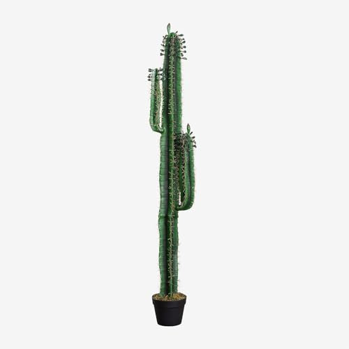 SKLUM Cactus Cereus artificiale 153 cm - ↑153 cm