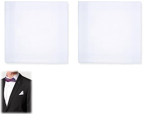 Aidi Handkerchief, 2 Pack Cotton Handkerchiefs, handkerchiefs for men cotton White Handkerchief pocket mens hankies square Soft Cotton Pocket Hanks for Children's Sweat Towel, Family Bedding
