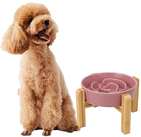 Gamelle Anti-Glouton Surélevée pour Chien - Bol en Céramique avec Support en Bambou - Idéale pour Chiens de Petite et Moyenne Taille - Rose - 17 cm