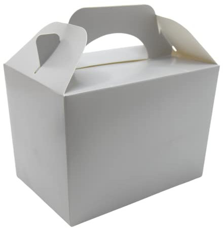 Lotus 20 Pack Children/Kids Plain Coloured Party Boxes Carry Food Meal Fun Picnic Birthday Wedding Favour/Baby Shower Party Halloween Trick or Treat Box Loot Bag (Silver)