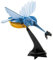 Fridolin 3D Papiermodell Eisvogel