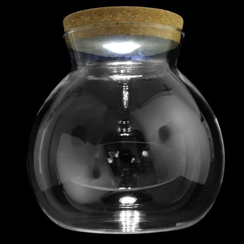 FRCOLOR Landschaftsflasche Hochzeitsdekoration Panzerdekor Milchbehälter LED-Glasflasche Glas-Container Blumenaquarium Glaskugel Fischflasche Glasflasche mit Holzdeckel Kork 3D Weiß Filter
