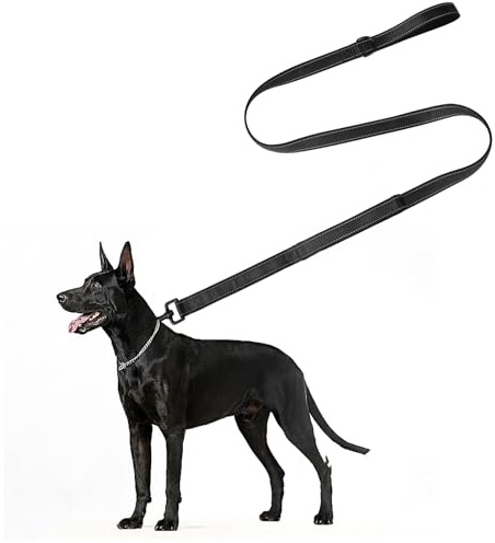 Dog Lead - Heavy Duty Nylon Training Leash for Medium/Large, Reflective Design 1 Inch Wide,Black (1.8m x 2.5cm)