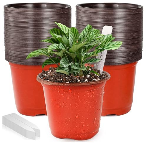 MUETKNYE 4 Small Plastic Plant Nursery Pot (100pcs Pots and 100pcs Plant Labels) Seedlings Flower Plant Container (Red) Seed Starting Pots Indoor Outdoor