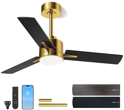 LANMEL Metal Ceiling Fan with Lights and Remote, 42 Inch, Gold & Black | Modern Low Profile Flush Mount, Reversible, 3CCT Dimmable, Quiet, LED, For Bedroom, Living Room, Indoor/Outdoor Patio Use