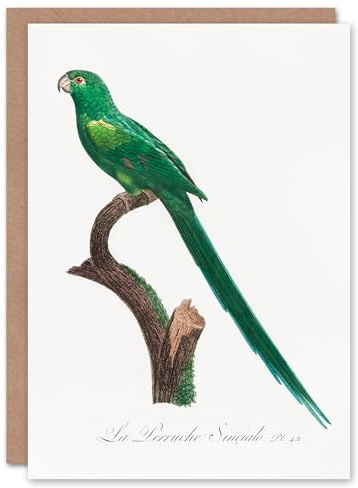 Artery8 Francois Levaillant Art Card The Long Tailed Parakeet