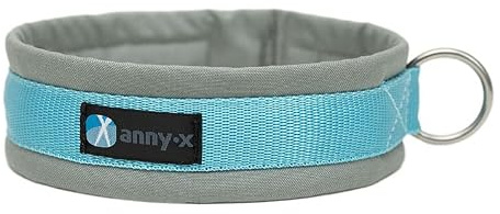 Anny·X Steckhalsband Fun Grau-Eisblau | Gepolstertes Hundehalsband | Größe 4 (37-43 cm)