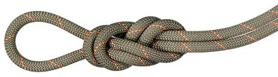 Mammut 9.9 Gym Workhorse Classic Rope Classic Standard 30 m