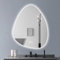 CEIEVER Miroir de salle de bain LED asymétrique avec éclairage 3 couleurs de lumière à intensité variable - Miroir de salle de bain LED avec interrupteur tactile et fonction anti-buée - Pour salle de