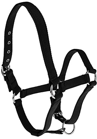 SKKWJEGE Verstellbares Nylon-Gurtband, Reitsport, Western-Pferdehalfter, Reitbekleidung, Schwarz, Größe L