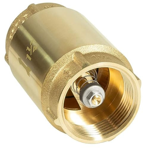 1 1/4 Zoll Feder Rückschlagventil Messing Innenrohr Gewinde One Way In-Line Rückschlagventil Rückflussverhinderung