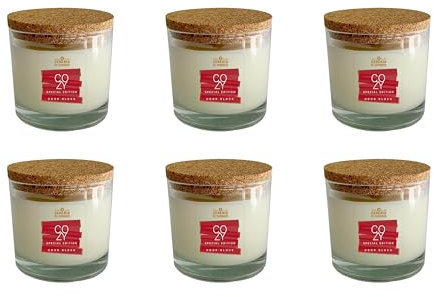 Pack de 6 Velas en vaso 100% cera vegetal y vegana - Aceites esenciales perfumados Naranja y Canela - Come olores - Olor Block - Duración 50 horas - Cereria di Giorgio