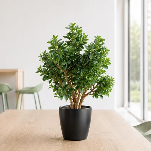 Leaf Artificial Bonsai Tree
