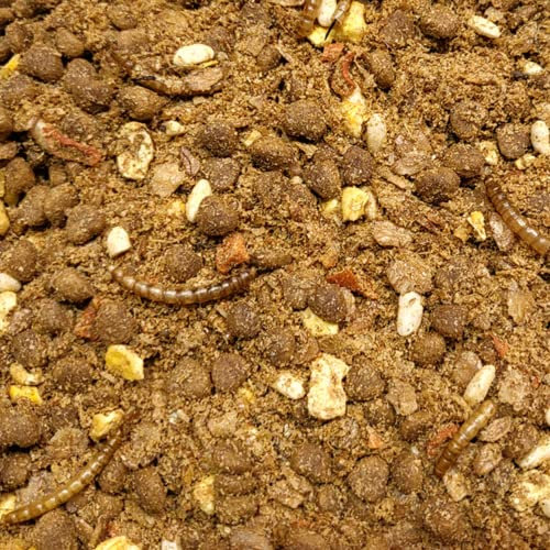 Supravit Igelfutter mit Insekten 25kg - Artgerechtes Igel Futter mit Mehlwürmer, Krebstiere, Früchte & Gemüse - Abgestimmt auf die speziellen Ernährungsbedürfnisse