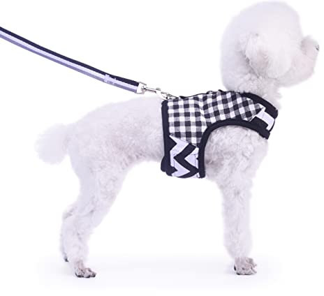 Hundegeschirr und Leine, Set für kleine Haustiere, Geschirr für den Winter, verstellbar, weich gepolstert, Hundeweste für Pudel, Zwergspitz, Chihuahua, Minlature Pinscher unter 4,5 kg, Schwarz kariert