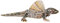 PIA Stofftier Flugechse 64 cm, Stofftiere Plüschtier Kuscheltiere Echsen Leguan Agame