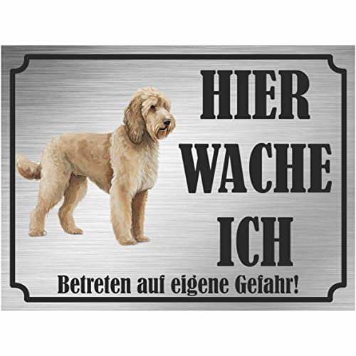 INDIGOS UG - Goldendoodle - Schild bedruckt - Hier wache ich - Aluverbundplatte Edelstahl Look - ab 20x15 cm - Spruch - Deko Geschenkidee für Ihren Hund - Zaun - Türschild