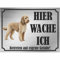 INDIGOS UG - Goldendoodle - Schild bedruckt - Hier wache ich - Aluverbundplatte Edelstahl Look - ab 20x15 cm - Spruch - Deko Geschenkidee für Ihren Hund - Zaun - Türschild