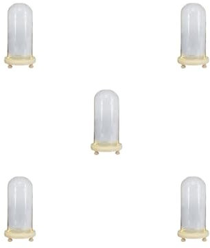 Glasvitrine für Zuhause, Büro, Tischregal, Nachttisch, beleuchtete trockene Blumenvase, Figur, Display, Flasche, Glas, Geburtstagsgeschenk, 9 x 20 cm, 5er-Set