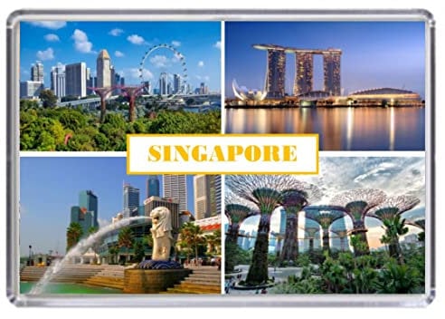 Singapore Souvenir Acrylic Fridge Magnet (Standard: 70x45mm)
