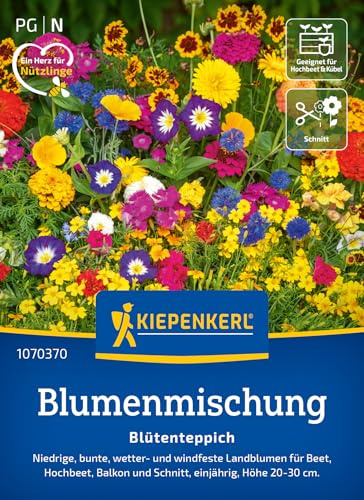 Kiepenkerl Blumensamen-Mischung Blütenteppich 1070370, Sommerblumensaat | Wetterfeste Blumenmischung für Garten & Hochbeet, Blumenwiese, Wuchshöhe 20-30 cm, einjährig, insektenfreundlich