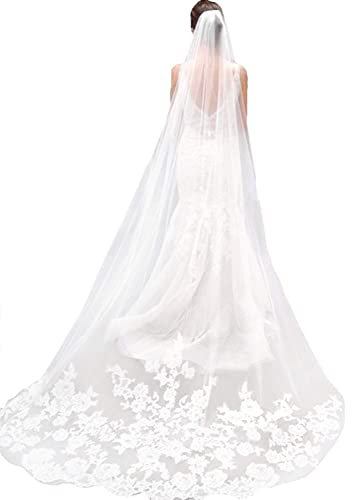 LianShi Brautschleier - Einlagiger Hochzeitsschleier Mit Spitze-Stickerei, 3m (Elfenbeinfarben)