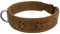 Greenburry Vintage 1609-25 Leder Hundehalsband XL