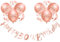 Happy 30th Birthday Banners Rose Gold Women 30th Birthday Banner Bunting Personalized Including 12 Pack 12” Latex Printed Balloons Women 30 Decorations Supplies