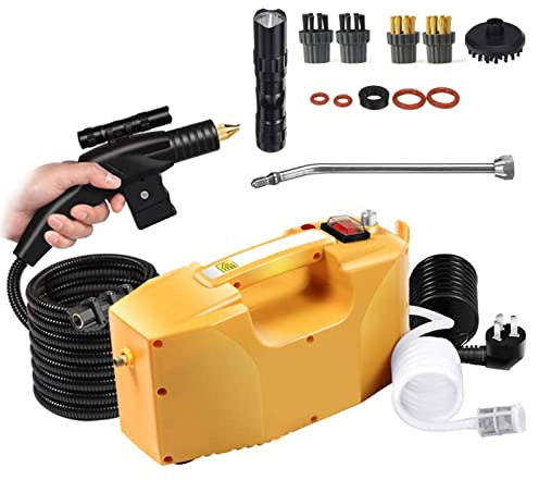 Nettoyeur vapeur professionnel portatif haute pression pour voiture, machine de nettoyage vapeur sans réservoir pour tapis, tissus d'ameublement, joints et carrelage, nettoyeur vapeur électrique pou