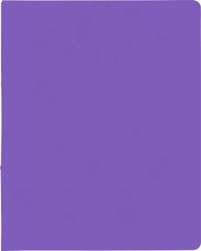 10X BRUNNEN Ringbuch A4 FACT!plus 2R 15mm viole