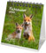 Fuchszauber Kalender für 2025 Format 10cm x 10cm Fuchs und Füchse - Geschenkset Inhalt: 1x Kalender, 1x Weihnachtskarte (insgesamt 2 Teile)