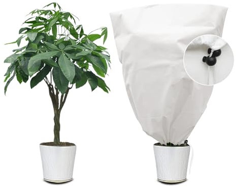 Kimgull 1 Stück Winterschutz für Pflanzen Frostschutz Schutzhülle Winterschutz Kübelpflanzensack mit Zugband, Wiederverwendbar Winter Pflanzenschutzsack Atmungsaktiv Reißfest 60x80CM (Weiß)