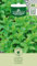 AGRONOM | Semillas de menta verde | Semillas de flores | Semillas de plantas | Semillas de jardín |Planta perenne, 80–90 cm de altura | Adecuada para macetas y jardines de hierbas| 1 paquete