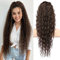 FLUFYMOOZ Ponytail Extension Pferdeschwanz Verlängerung, 66 cm Pferdeschwanz Haarverlängerung im Bohemian-Stil mit Kordelzug für Frauen lockiger gewellter Pferdeschwanz(66 cm Dunkelschokoladenbraun)