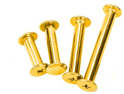DDKY vis de Reliure INOX,vis relieur,vis de Reliure,vis Reliure,80 pièces, durables, pour Reliure de Scrapbooking de Livre de Bricolage à Ceinture