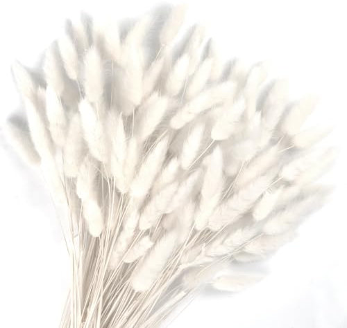 Songjum 120Stück Getrocknete Blumen Hasenschwänze Pampasgras Natürlicher Kaninchenschwanz Getrockneter Blumen Pampasgras Dekor für Wohnkultur Boho Zuhause Dekoration Blumenarrangements（Weiß）