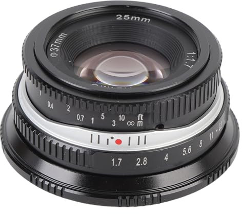 25mm F1.7 F22 Handbuch Kameraobjektiv, Halbrahmen/APS-C Großer Blende Manuelle Fokusobjektiv mit Vorderer Kappe für G1 G2 G3 G5 G6 G7 M4 / 3 Spiegelloser Kamera Montieren (Black)
