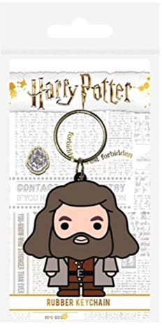 Harry Potter Porte-clés en caoutchouc Multicolore 4,5 x 6 cm