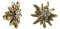 Alpenflüstern Trachten-Ohrstecker Strass-Edelweiß mini antik-gold-farben - Damen-Trachtenschmuck, Trachten-Ohrringe (klar-kristall) DOR042
