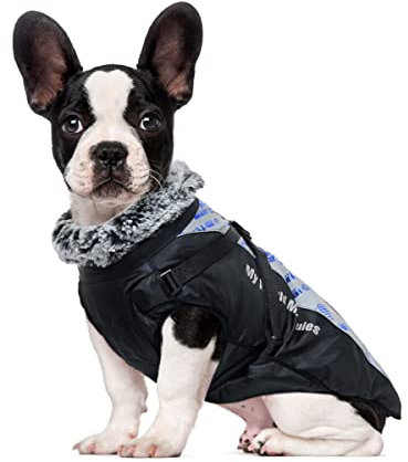 Dociote Hunde Wintermantel Winterjacke mit Geschirr Reißverschluss reflektierender & winddichter Hundemantel Hundejacke mit Gurte und D-Ring für mittelgroße große Hunde Blau gedruckt 3XL