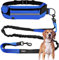 Edipets, Laisse Canicross, Main Libre Chien, pour Ceinture, Running, Anti-tirons, réfléchissant, 160-220 cm (Bleu)