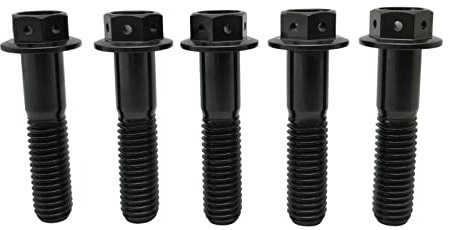RISON-Titanium 5 Stück Titanschrauben M8x1.25x25mm, Titan Flansch Schrauben Sechskantschraube, Titan Schrauben Bolzen Bremssattelschraube Motorradschrauben Autoschrauben
