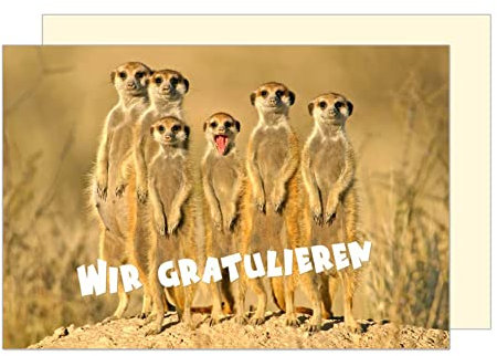 Edition Seidel Premium Allgemeine Glückwunschkarte mit Umschlag. Geburtstagskarte Grusskarte Billet Happy Birthday Glückwünsche Wir Gratulieren Mann Frau witzige Tierkarte Erdmännchen (G3210 SW023)