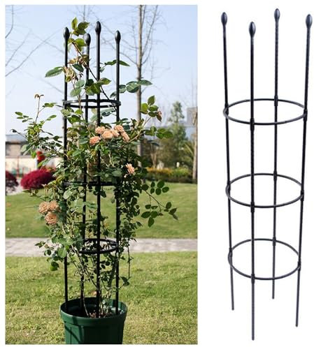 NOIRDA Garten Rankhilfe Aus Metall Für Topfpflanzen, Kletterrosen, Clematis, Freistehend Tomatenkäfig Pflanzenstütze Obelisk Klettergerüst Spalier, 1 Packung(Black,25x150cm)