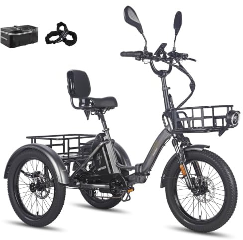 Fafrees F20 Mate Elektro Dreirad, Upgrade 2025 E-Bike 3 Rad 48V 23.45Ah Akku, E Bike Dreirad Klapprad 20 * 3.0 Zoll, Hydraulischer Bremsstarter (Vorderkorb + großer Korb, Grau)